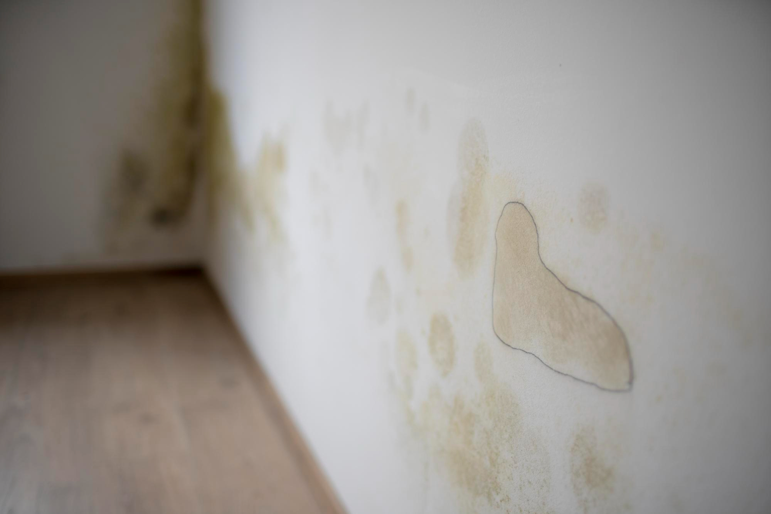 humedades en casa pared con humedad